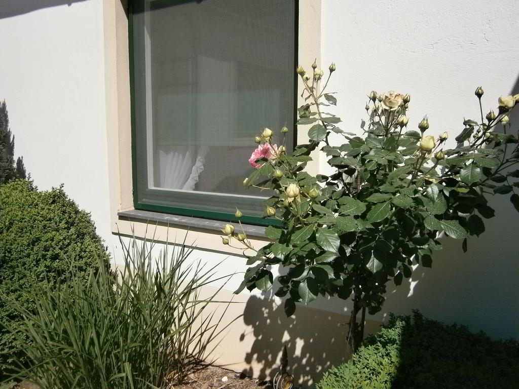 Apartamento Atriumhof Rust Exterior foto